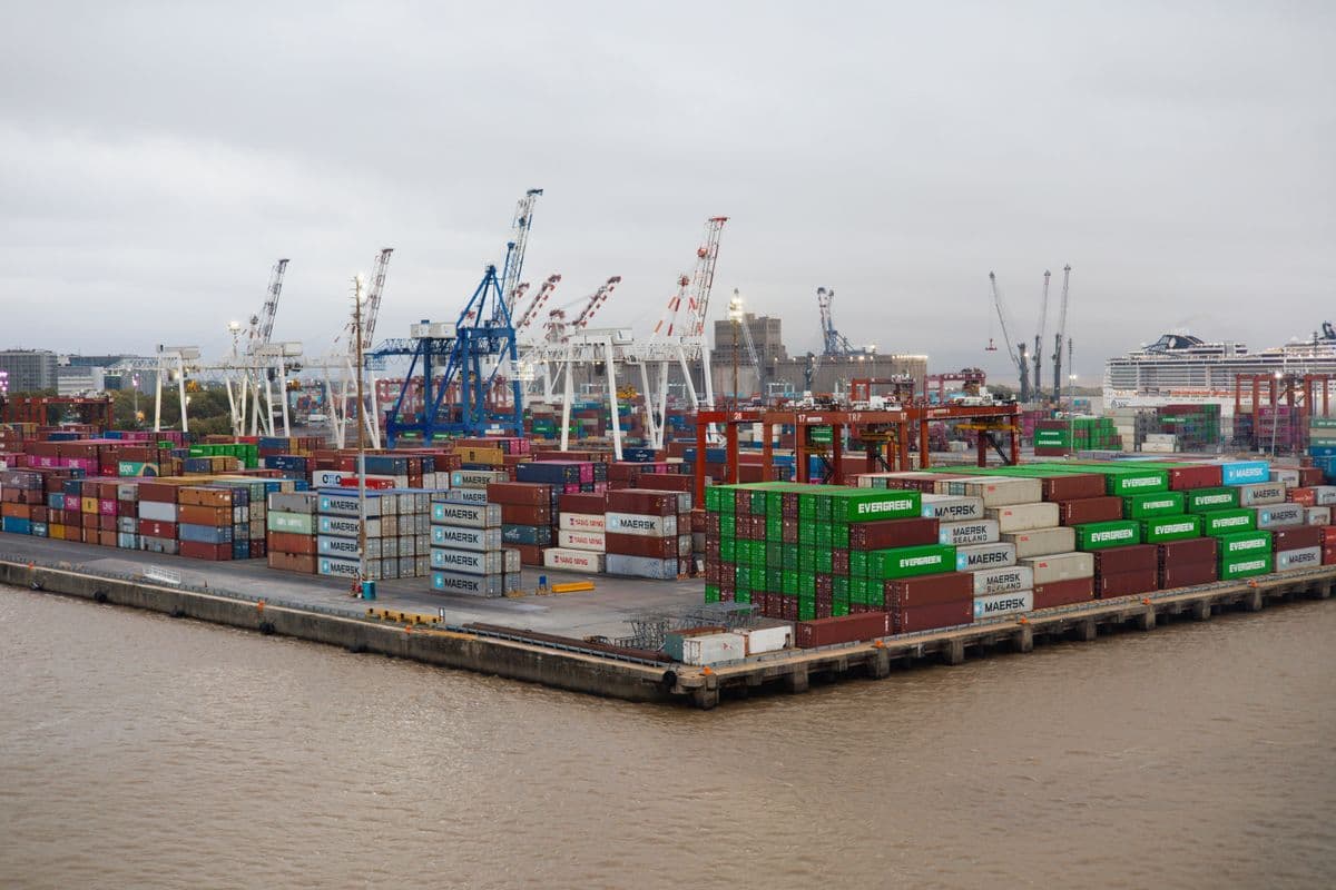 Understanding CBP Entry Types: Type 01, 03, 06, and Which One You Need