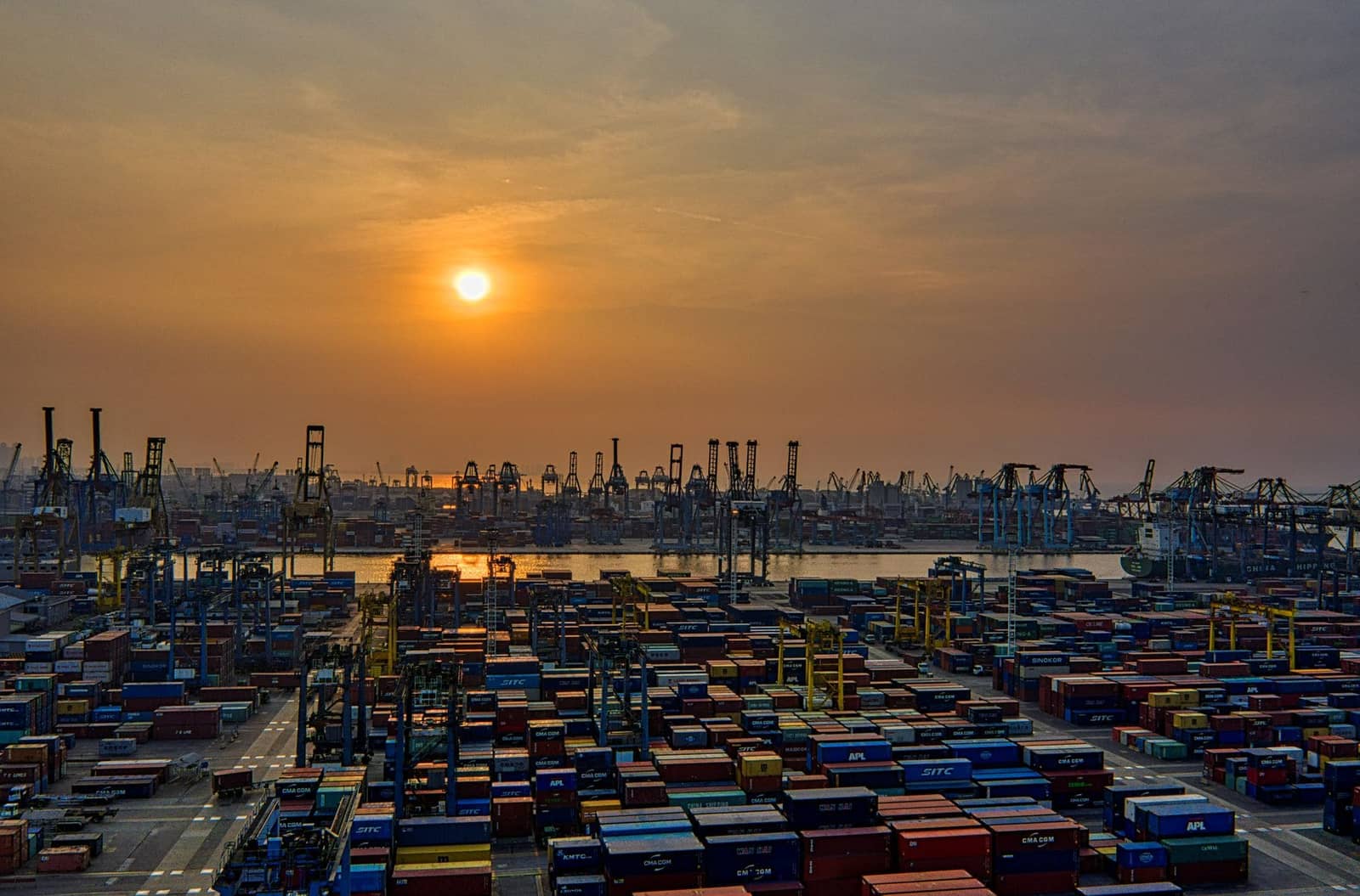 Container terminal at golden hour with rows of cranes